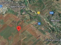 Băleni-Romani teren agricol 10000mp