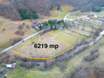 Teren intravilan &ndash; 6.219 mp.