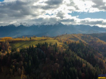 FILM! Teren intravilan spectaculos,1.000 mp,Moieciu,panorama