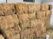 Vand Baloti Lucerna si Paie