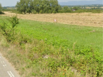 Teren agricol , 2000mp, Caransebeș , Caraș-Severin