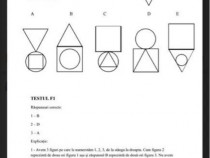 Teste psihologice Mai Mapn Anp