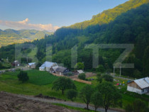 Teren de vanzare, 10.000 mp - Bistrita Bargaului, zona turis