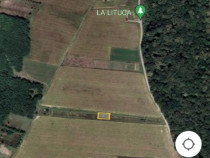 Teren extravilan Valea Ursului