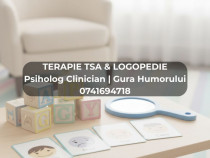 Psiholog Gura Humorului - Terapie TSA și &Icirc;nt&acirc;rzieri Dezvoltare