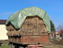 Baloți de iarbă și lucernă