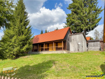 3DFILM! Casa de vacanta rustica, panorama superba,Santimbru