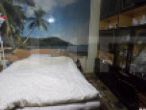 Casa 6 camere 227mp. Teren 444mp