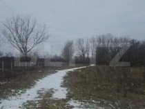 Teren intravilan, 447 mp, zona Priseaca