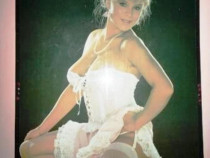 Tablou plastic/plexiglas cu samantha fox 65x100cm din 1982