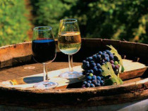 Vin de Dragasani - Sauvignon Blanc