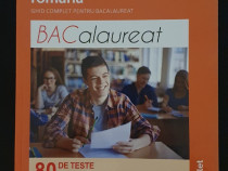 80 teste pentru bacalaureat, limba și literatura română, Boo