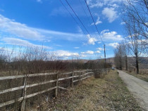Livada teren extravilan Valcea 5000mp