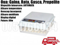 Incubator Clocitoare 64 Oua Gaina Gasca Rata Automat