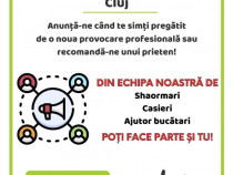Casier , ajutor bucătar, shaormar
