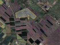 Teren 42 ha pentru parc fotovoltaic – Macea, Arad