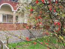 Casa renovabila, teren 4400 mp, Tureni