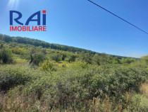 Teren intravilat Predesti,Valea merilor, investitie 5492mp