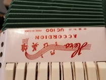 Acordeon copii vechi