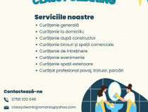 Servicii profesionale de curățenie