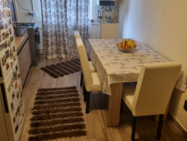 Apartament 2 camere în Brazda lui novac