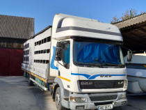 Vand camion DAF 12t