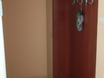 Apartament cu două camere Buziașului