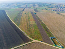 Teren 15,000mp Vorovesti / Strada Militari