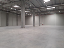 Bd. Th. Pallady - 1700mp - ISU - comision 0