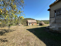 Teren intravilan de vanzare 14000mp,ideal pentru investitie,