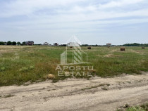 Teren intravilan pentru hala 1518 Remetea Mare in apropie...