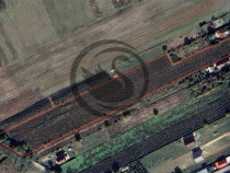 Teren intravilan de vanzare | 12.650 mp | Ghirdoveni, | C...