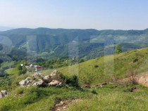 Teren extravilan pentru cabana, 3800 mp, zona-Ramet Transapu