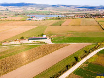 FILM! 18.000 mp,extravilan,agricol constructii, recomandat:f