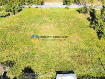 TEREN intravilan ROZNOV - CHINTINICI