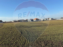 Teren 6,200mp Simnicu de Sus / None