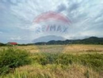 Teren de v&acirc;nzare 990mp &icirc;n Barzava, județul Arad