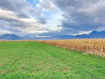 Teren extravilan Tarlungeni