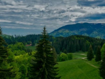 SUPERB Teren intravilan de 2350mp in Poiana Mica Brasov