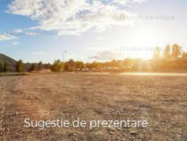 CENTURA 15E/mp , intravilan de constructii - 10.000 mp desch