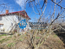 CATALOI - CASA P+E ,6 CAMERE ,TEREN 800 MP