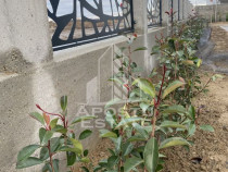 Duplex cu finisari de lux in cartier rezidential Remetea ...