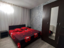 Vilă de &icirc;nchiriat Craiova, Dolj, central