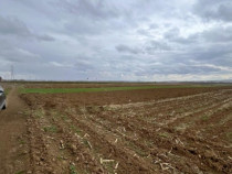 Teren extravilan 2500 mp,cu acces la Centura ,Radauti