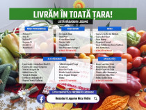 Rasaduri Rosii | Rasad Rosii Ardei Castraveti Vinete | Rasaduri Legume