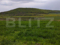 Teren extravilan 3621 mp, in Petrestii de Mijloc