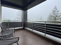 Priveliste spre masivul Postavarul