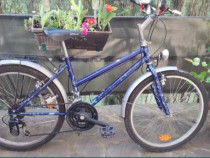 Bicicletă cu roti