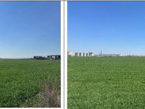 Cota parte de 1/10 din teren Bucuresti, ID: R2550650