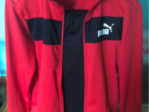 Trening puma de copii